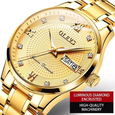 Classic Genuine Swiss 18k Gold Men Mechanical Automatic Business Watch