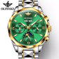 Premium Luxury Mechanical Automatic Swiss Brand Multifunction Men's Watch