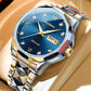 Swiss High-end Luxury Brand Mechanical Multi-function Automatic Men Watches